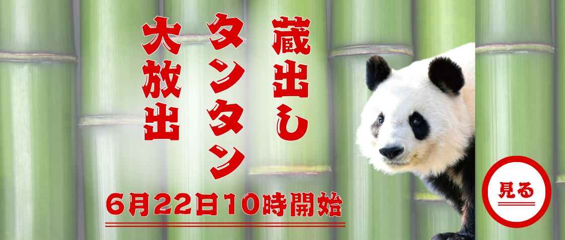 たんたん様用 見本