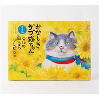 絵本「マルの真夏のプレゼント」