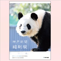 【おまけ付き】Thanks TanTan「神戸新聞縮刷版（タンタン総集編）」