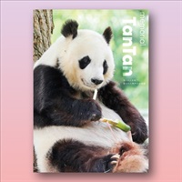 王子動物園開園記念「写真集『メモリアル　タンタン』」（Ａ４判、９８Ｐ）