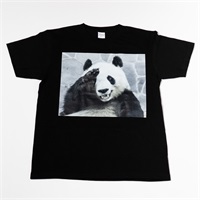 【Mサイズ】王子動物園開園記念「Ｔシャツ（タンタン）」