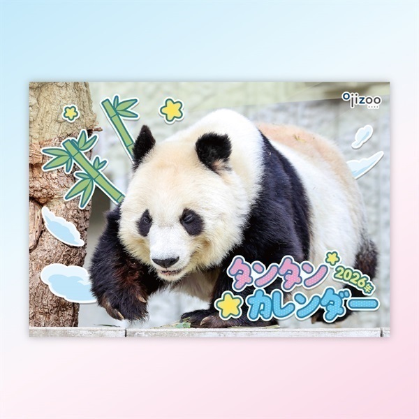 【予約販売】THANKs TanTan「2026 タンタンの壁掛けカレンダー」