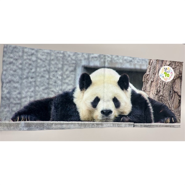 【復刻】王子動物園70周年記念「特製フェイスタオル（ジャイアントパンダ）」