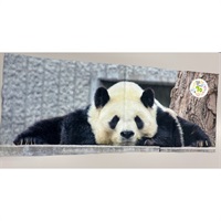 【復刻】王子動物園70周年記念「特製フェイスタオル（ジャイアントパンダ）」