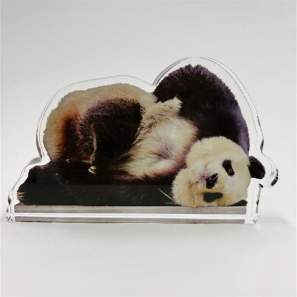 【予約数量限定】王子動物園開園記念「アクリルブロック　ねそべりタンタン」