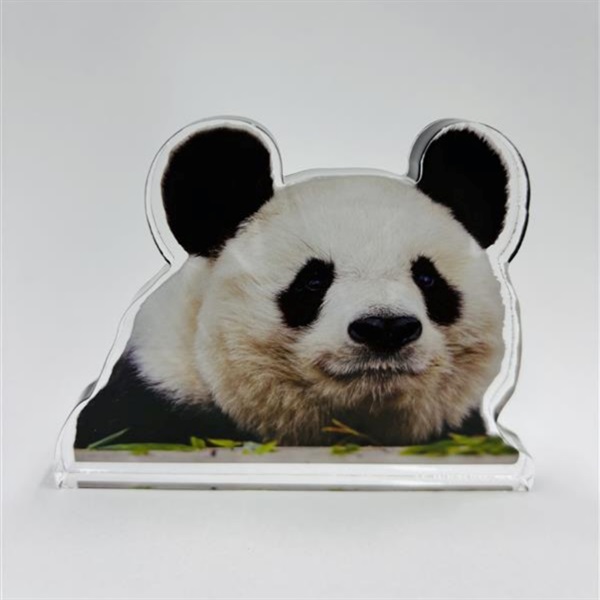 【予約数量限定】王子動物園開園記念「アクリルブロック　ほほえみタンタン」