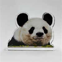 【予約数量限定】王子動物園開園記念「アクリルブロック　ほほえみタンタン」