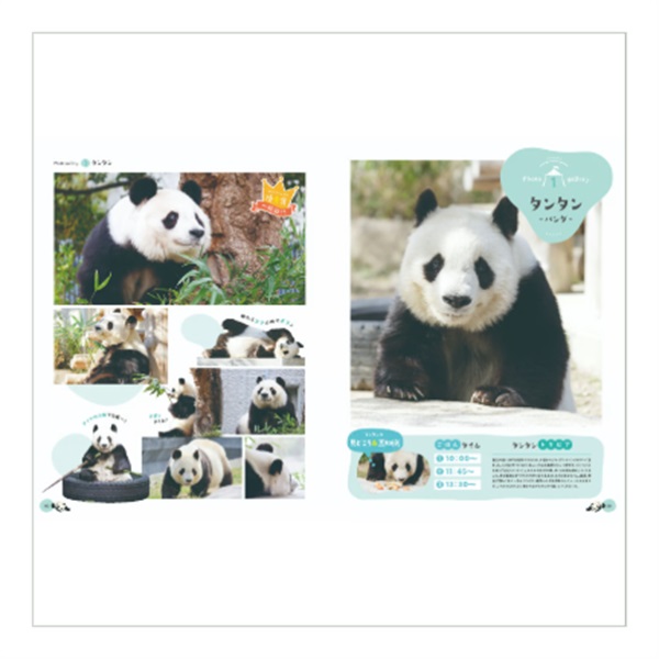 王子動物園70周年記念写真特集（A4全128P、フルカラー）