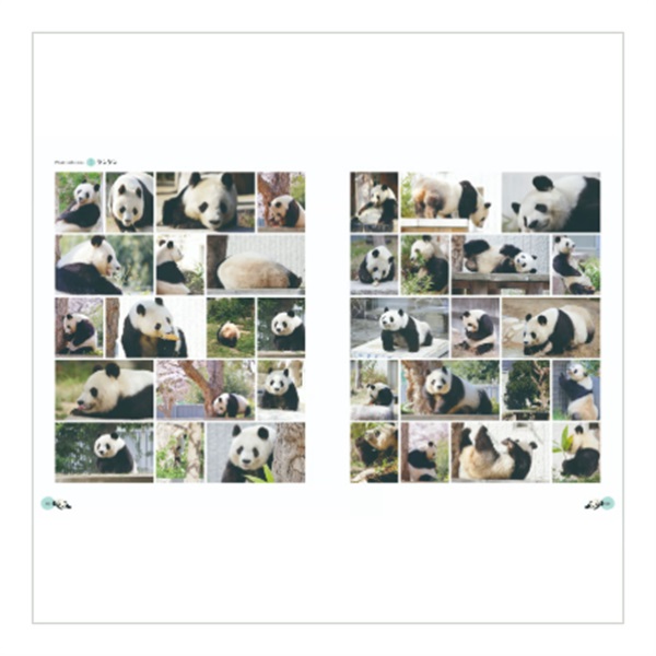王子動物園 2010•2011ダイアリー 0000000017212_shn8AGf.jpg